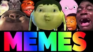 JUNGLE OF THE BEST DANK MEMES V61