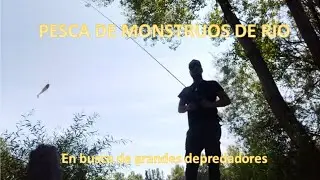 Técnica de pesca con señuelos para grandes depredadores