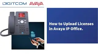 How to Upload Licenses in Avaya IP Office