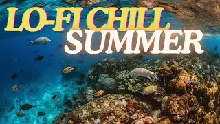 Chill Out LOFI Music Summer #LO-FI音楽 #chill #BGM for work