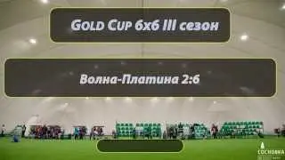 Волна-Платина 2:6