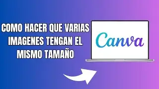 How to Make Multiple Images the Same Size in Canva