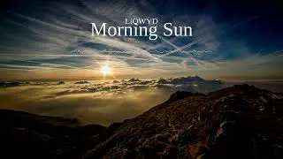 (Free) Electronic & Dance - Morning Sun - (No Copyright)