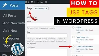How to use Tags in WordPress