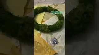 Декор для комнаты в стиле goblincore 🍄🐸 