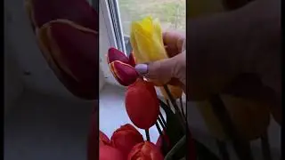 Тюльпаны к 9 мая 