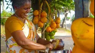 Ice Apple | Nungu sarbath | Nungu juice | நுங்கு (Tender palm fruit drink) Indian Street Food