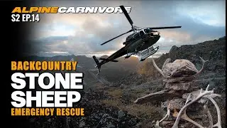 DIY STONE SHEEP HUNT | WE LOST A MAN! | NORTHERN BC