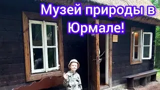 Музей природы под открытым небом в Юрмале.(Jūrmalas brīvdabas muzejs)