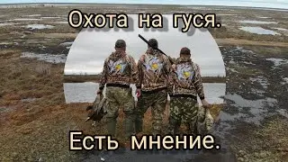 весенний гусь 2021г