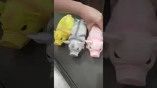 MOST SATISFYING PIG SOUNDS OINK 🐖🐖🐖 TIKTOK VIRAL #trending #shorts #piggy #asmr