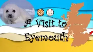 Sylvanian Channel Travels || Eyemouth - Scottish Borders | Scotland || Harbour town || Travel vlog
