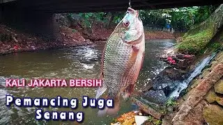 Mancing Di Kali Pondok Indah Jakarta