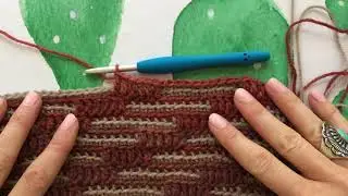 Cactus Garden Blanket Part 2 Tutorial by Pretty Peaceful