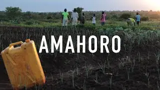 Amahoro