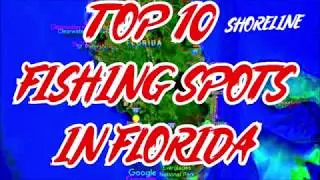 TOP 10  - BEST FISHING SPOTS IN FLORIDA  - SHORELINE