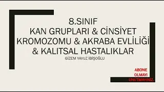 8.SINIF KAN GRUPLARI -  CİNSİYET KROMOZOMLARI -  AKRABA EVLİLİKLERİ -  KALITSAL HASTALIKLAR