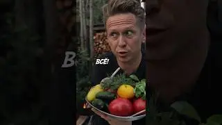 ТАКОЙ САЛАТ ПОНРАВИТСЯ ВСЕМ 🔥😋 #shorts
