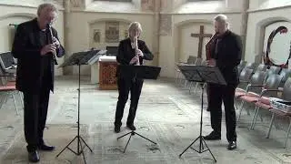 Bassano Trio, Haydn/J.S. Bach, compilation augustus 2023