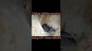 DIY AROMA