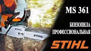 Бензопила STIHL MS361 в работе