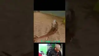 Ark mobile glitch || glitch ||