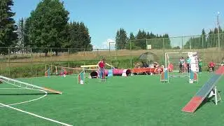 Чемпионат Тверской области, 16.08.2020, г. Тверь, трасса аджилити, Винклин