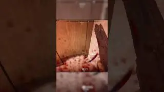 Warzone Door Tactics: What Door Plays REALLY Look Like in Warzone 2 😂🚪🎮