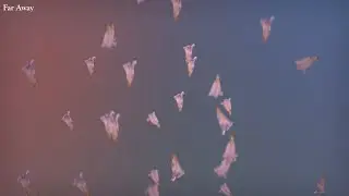 Sharon Van Etten - Far Away (Lyric Video)