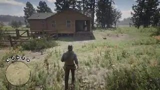 Добрый день, мэм 1 - Red Dead Redemption 2