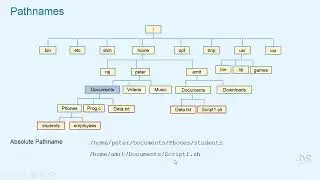 Linux Command Line, Bash Shell, Scripting AWK & SED on Linux [Absolute and Relative Pathanames]