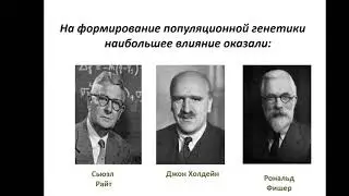 Практическое занятие №16 Генетическая структура популяции.