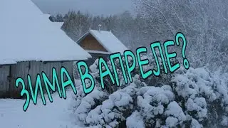 Апрельская зима!!! || БР... ХОЛОДНО🌨🌨🌨