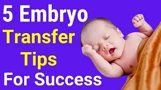 💹 5 Embryo Transfer Tips For Success in Hindi -  Omya Fertility
