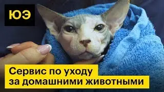 Юнит-экономика: сервис по уходу за домашними животными