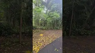 #nature #beauty#Incomparable