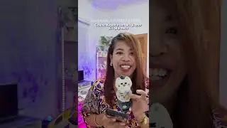 Magkano nga ba ang nagastos namin sa Vietnam?