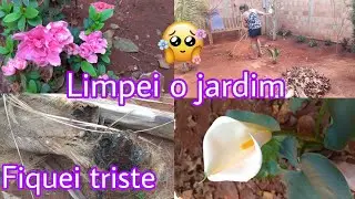 Limpei o Jardim/ Fiquei muito triste 😭/Ana Tinel