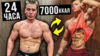 24 ЧАСА ПИТАЮСЬ как СТЕПАНОВ и Проверяю на БЛУД! Эстетика ТИК-ТОКА