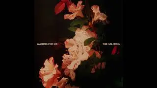 Tim Halperin - Waiting For Us (Official Audio)