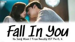 [Sub Indo] Ha Sung Woon – Fall In You | True Beauty OST Part 6 Lirik