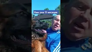 #тимасветлогорских