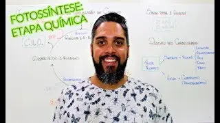 FOTOSSÍNTESE: ETAPA QUÍMICA (