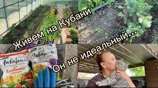 1214❤️Выброси!!! А я не послушалась…/Удобрил? Получи!!!