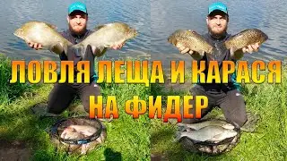 Ловля огромного леща и карася на фидер. Отличный улов в начале лета на фидер. Рыбалка 2022