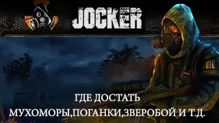 Stalker Online Где достать мухоморы,поганки,зверобой и т.д.