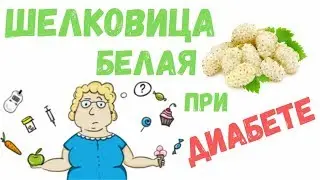 Шелковица белая описание и приготовление, польза и показания к применению