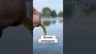 Летний микроджиг🎣На что ловить и как? #рыбалка #спиннинг #микроджиг