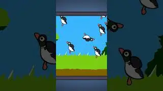 Shadow don't like ducks or dogs 🦆 