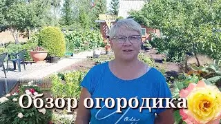 20 июня 2023 г.